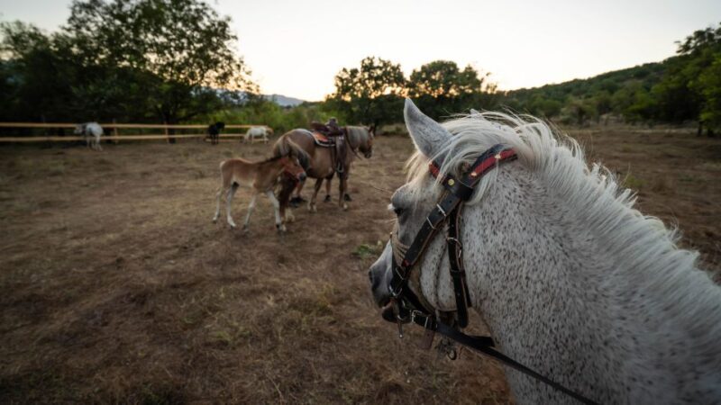 Kastraki: Meteora Sunset Horseback Riding - An Honest Breakdown of the Experience