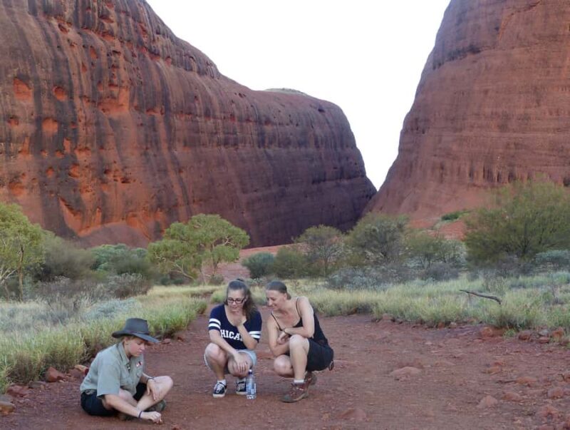 Kata Tjuta: Small Group Sunrise Tour with Picnic Breakfast - The Small Group Advantage