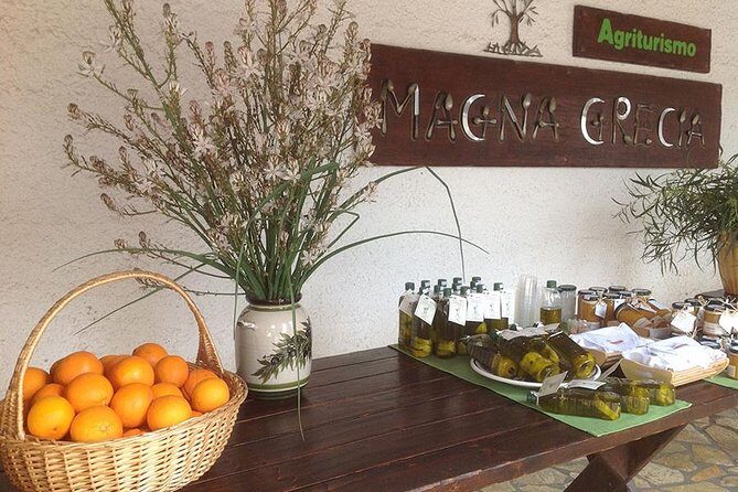 Katakolon 7hour tour : Olympia-Honey Farm-Winery-Beach - The Itinerary in Detail