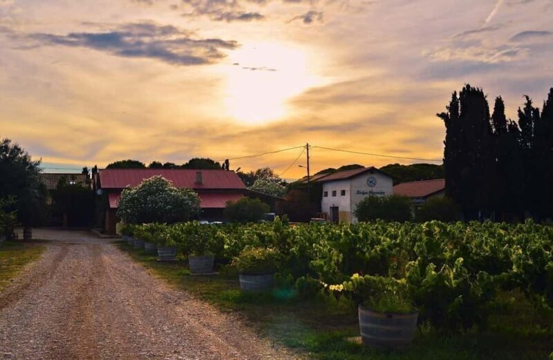 Katakolon: Olympia & Kaiafa Beach Tour with Photos - How the Tour Fits Into Your Travel Plans