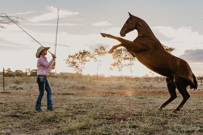 Katherine Outback Experience Show Ticket - Key Points