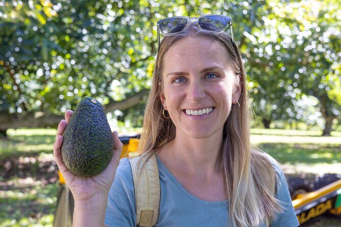 Katikati Avocado Adventure - FAQs