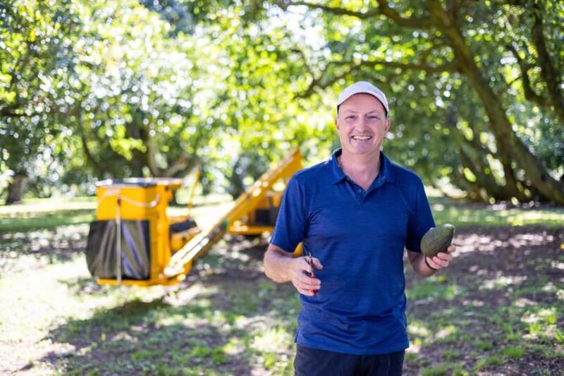 Katikati: Guided Avocado Adventures with Tasty Treats - Tasting the Fruits of the Labor