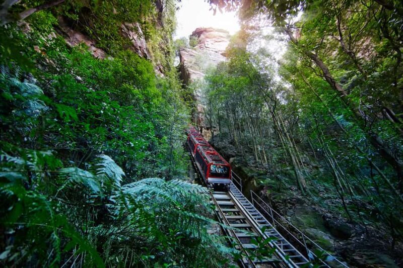 Katoomba: Scenic World 1-Day Unlimited Discovery Pass - Exploring Scenic World: What to Expect