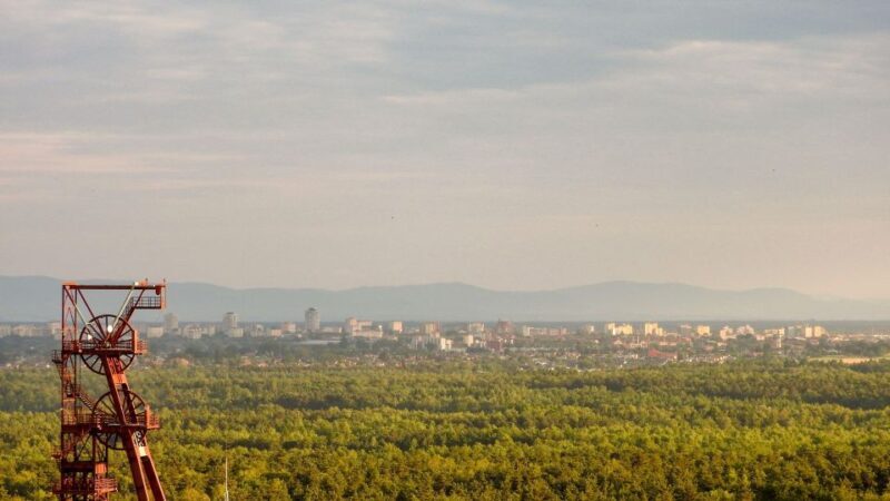 Katowice: Express Walk with a Local in 60 minutes - Price and Value