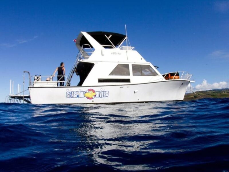 Kauai: 2 Tank Afternoon Dive - What to Expect from the Kauai 2 Tank Afternoon Dive