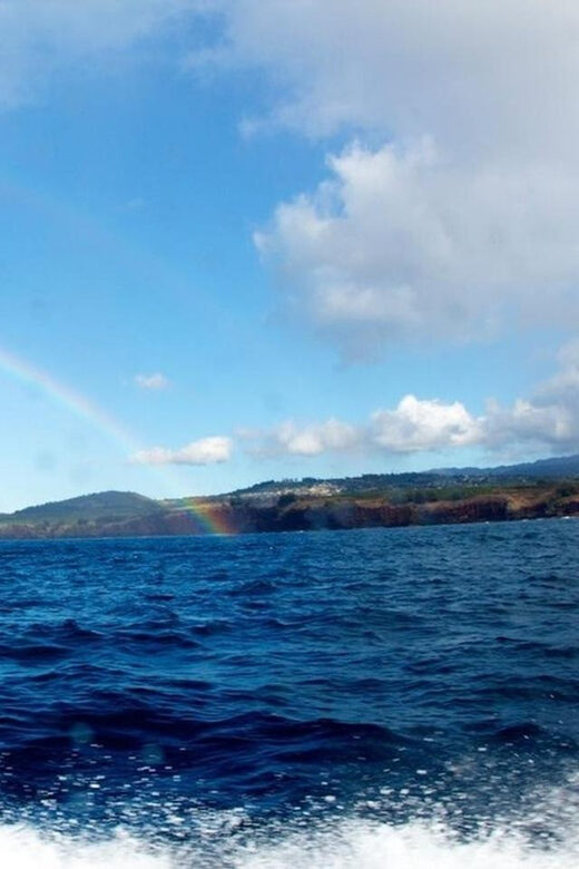 Kauai: 3-Tank Boat Dive for Certified Divers - Why Choose This Kauai Boat Dive?