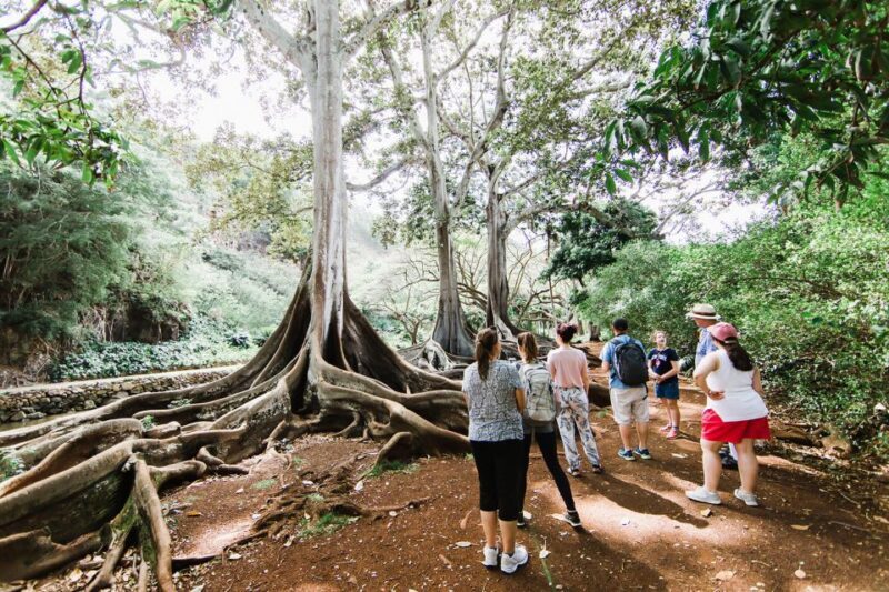 Kauai: Allerton Garden and Estate Tour with Sunset Dinner - How the Tour Works: Logistics and Practical Tips