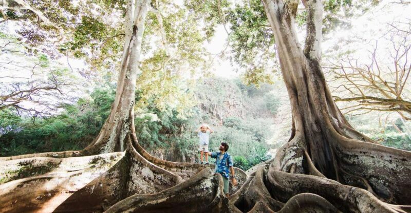 Kauai: Allerton Garden Guided Group Walking Tour - A Detailed Look at the Tour