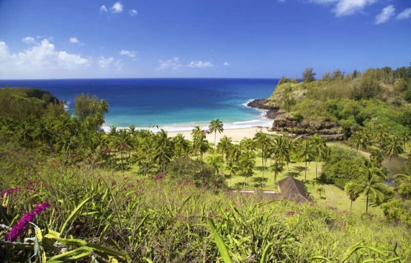 Kauai: Allerton Garden Guided Group Walking Tour - Who Should Consider This Tour?