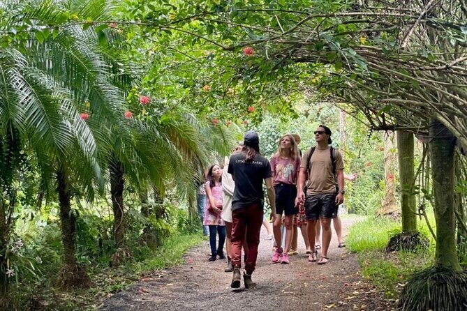 Kauai Chocolate Farm Tasting Tour - The Experience: What to Expect on the Kauai Chocolate Farm Tour