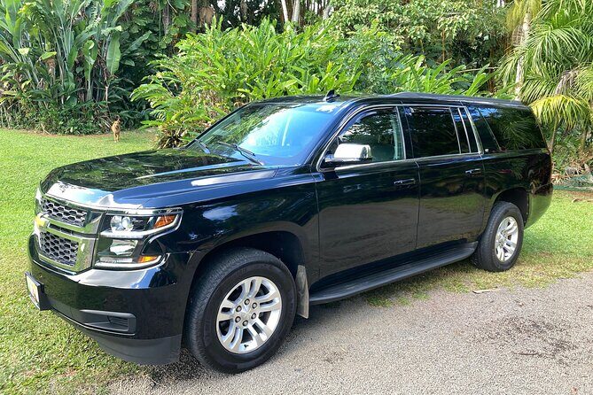 Kauai Cruise Ship Roundtrip Excurision Transfers - Everything You Need to Know About Kauai Cruise Ship Transfers