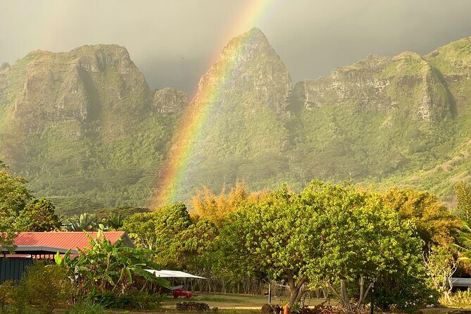 Kauai East Side and North Shore Private Guided Tour - The Real Benefits: Why Travelers Love This Tour