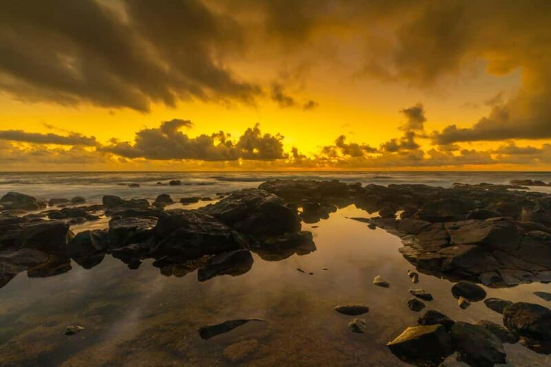 Kauai East Side and North Shore: Waterfalls & Beaches Tour - What to Expect from the Tour