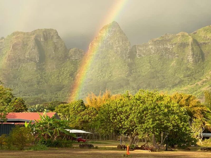Kauai East Side and North Shore: Waterfalls & Beaches Tour - Who Should Consider This Tour?