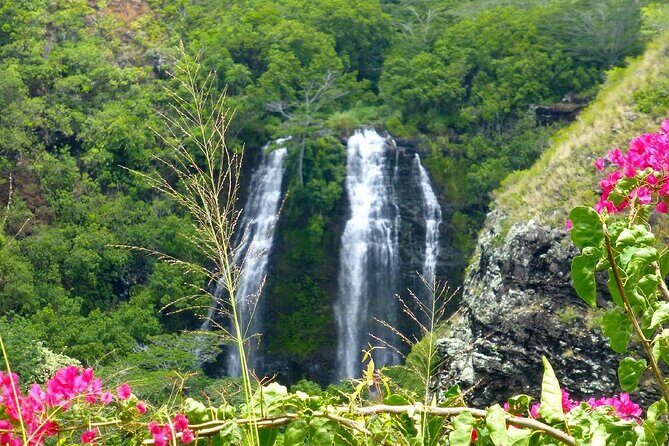 Kauai Eastside & Waterfalls-Shared Small Group Tour - Who is this tour best suited for?