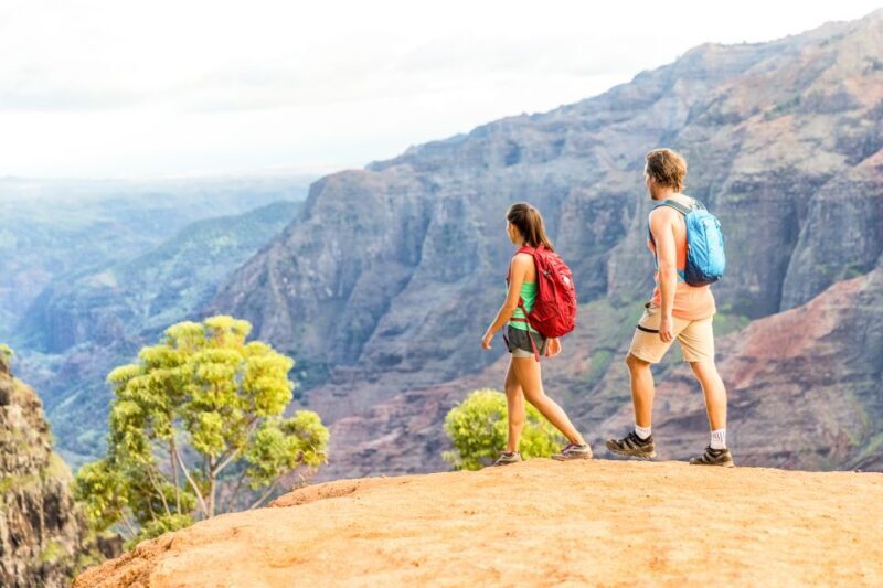 Kauai: Full-Day Waimea Canyon & Wailua River Tour - Practical Details and Considerations