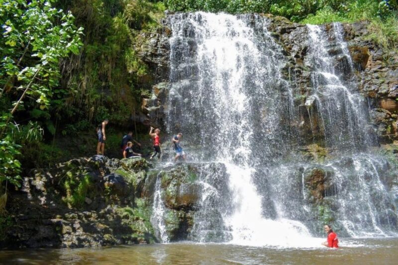Kauai: Guided Hike and Waterfall Swim - The Details That Matter