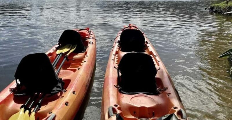 Kauai: Guided Kayak and Hike to Secret Falls - The Experience in Detail