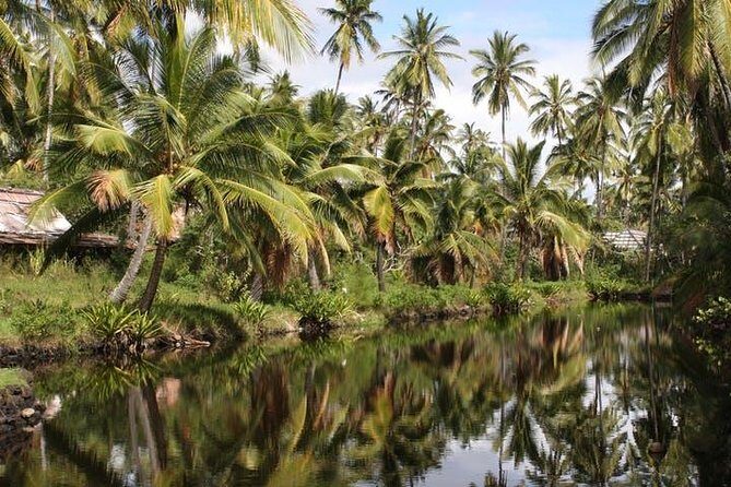 Kauai: Hawaii Movie Tour - Final Thoughts: Who Is This Tour Best For?