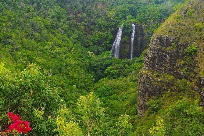 Kauai Highlights & Movie Sites - Who Should Consider This Tour?