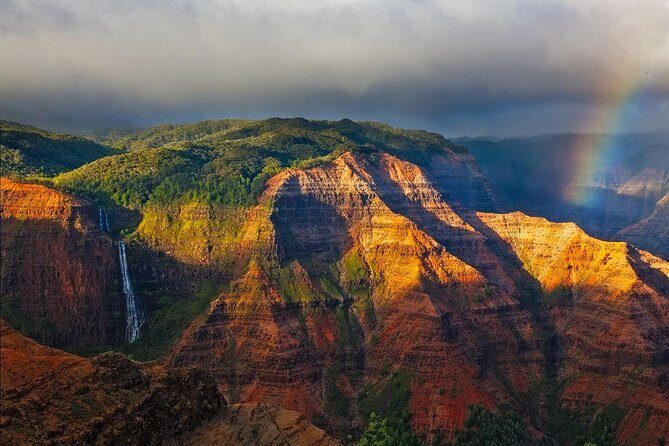 Kauai Highlights Small Group Tour -A journey to the Canyon & more - Who Will Love This Tour?