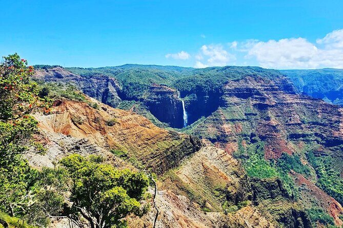 Kauai Island Private Guided Tour-Waimea Canyon from Poipu/Koloa - Final Thoughts