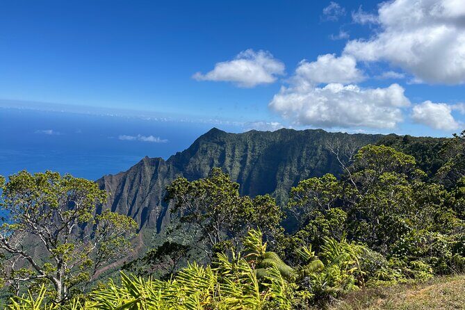 Kauai Island Private Guided Tour-Waimea Canyon from Princeville - Final Thoughts