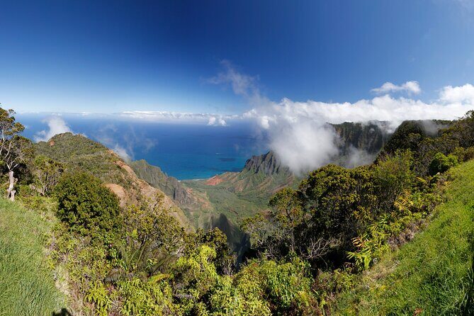 Kauai Island Tour : Journey to Waimea Canyon & More Highlights - The Sum Up