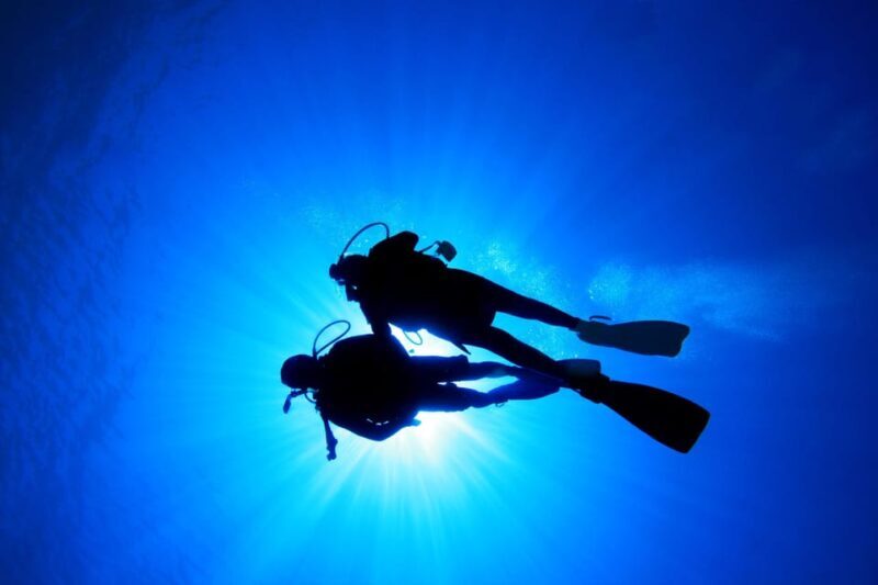 Kauai: Morning 2 Tank Boat Dive for Experienced Divers - Key Points