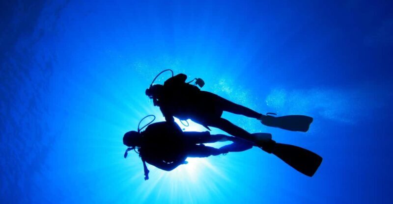 Kauai: Morning 2 Tank Boat Dive for Experienced Divers - Marine Life and Highlights