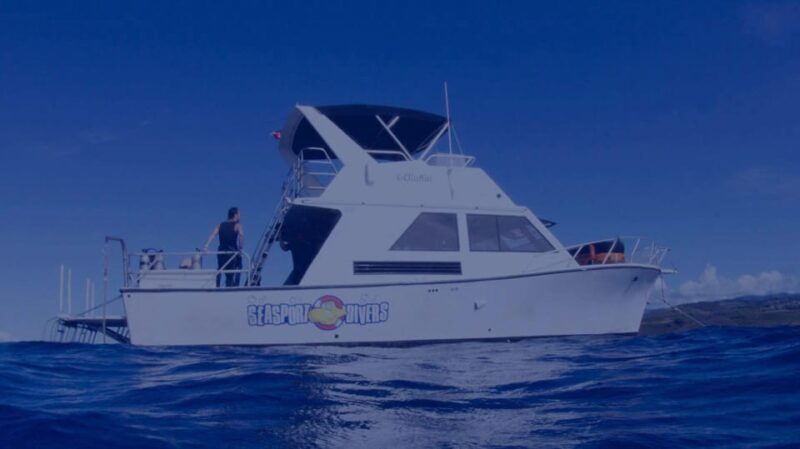 Kauai: Morning 2 Tank Boat Dive for Experienced Divers - Who Should Consider This Tour?