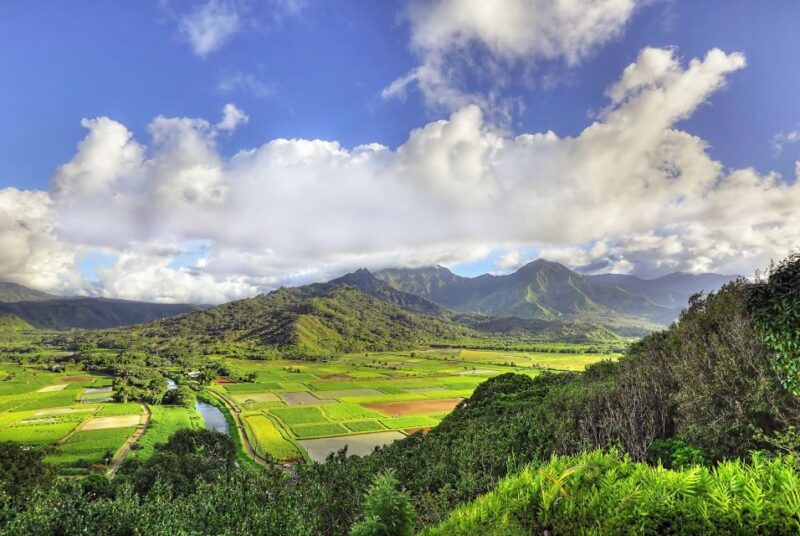 Kauai: Movie Locations Tour - The Value and Price Point