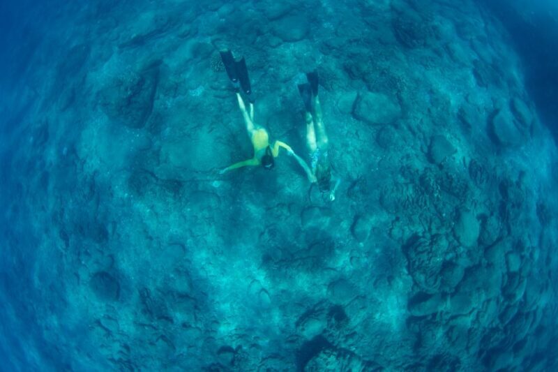 Kauai: Niihau and Na Pali Coast Full-Day Boat Tour - FAQ