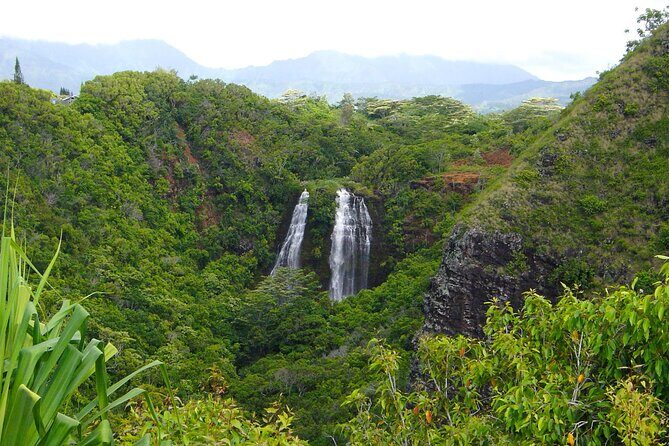 Kauai North Shore Private Guided Tour with Hotel or Port Pick-up - Who Would Love This Tour?