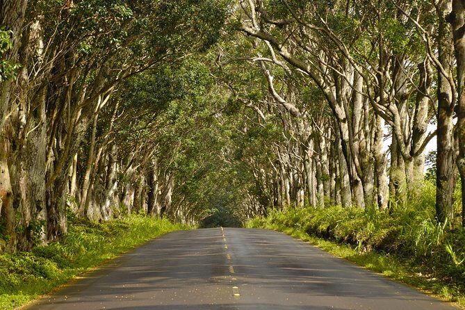 Kauai Poipu and Koloa Town Self-Guided Audio Tour - FAQ