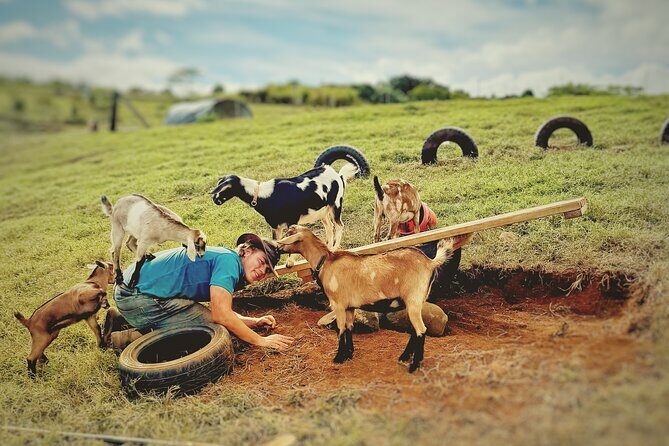 Kauai Private Baby Farm Animal Experience & Micro Dairy Immersion - Key Points