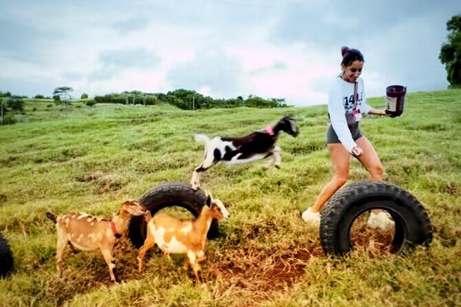 Kauai Private Baby Farm Animal Experience & Micro Dairy Immersion - What to Expect from Your Kauai Farm Experience