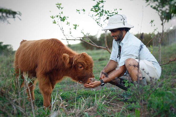 Kauai Private Baby Farm Animal Experience & Micro Dairy Immersion - Practical Details