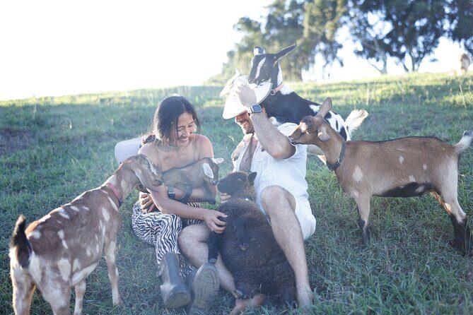 Kauai Private Baby Farm Animal Experience & Micro Dairy Immersion - FAQ