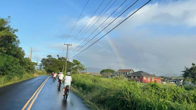 Kauai: Scenic Electric Bike Tour of Poipu and Koloa - The Practical Side: What You Need to Know