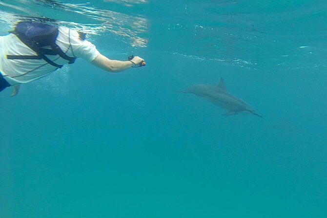 Kauai Sea Kayaking 10 mile tour - Na Pali Iki (Polihale to Milolii) - What to Expect from the Tour