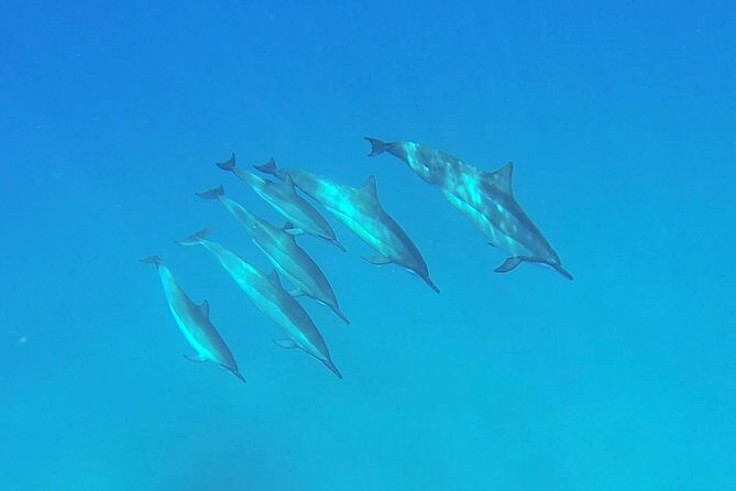 Kauai Sea Kayaking 10 mile tour - Na Pali Iki (Polihale to Milolii) - Final Thoughts