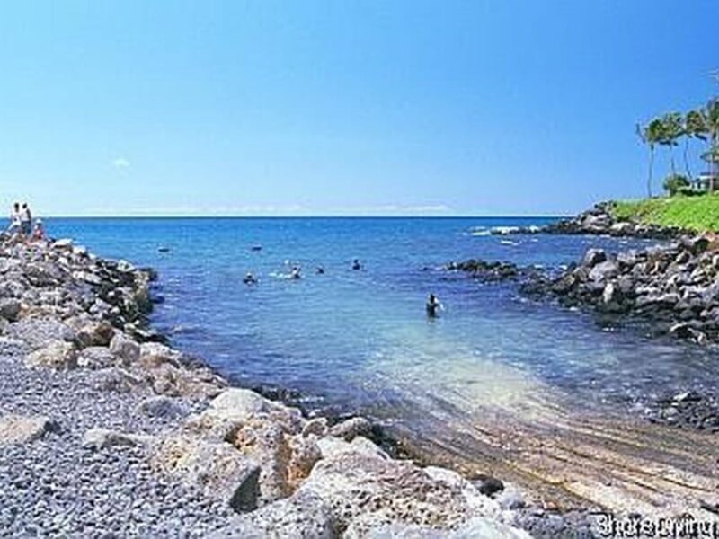 Kauai: Shore Diving at Koloa Landing, Poipu - Marine Life Encounters and Highlights