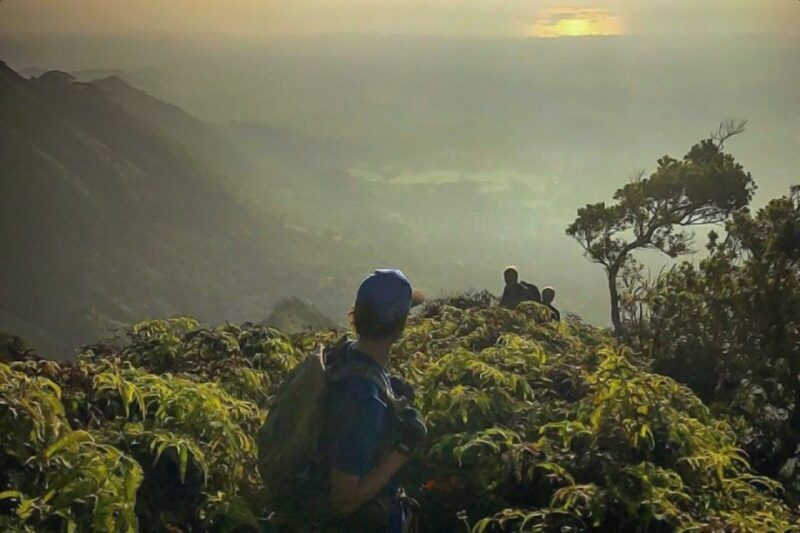 Kauai: Waimea Canyon & Kokee State Park Private Tour - A Deep Dive into the Kauai Experience