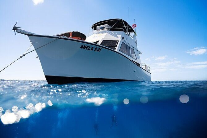 Kauai's Exclusive Morning Scuba Charter for Experienced Divers - Who Is This Tour Best Suited For?