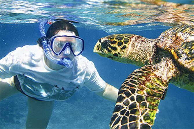 Kauai's Ultimate South Island Zodiac Boat Snorkel Adventure - The Zodiac Experience and the Scenic Ride
