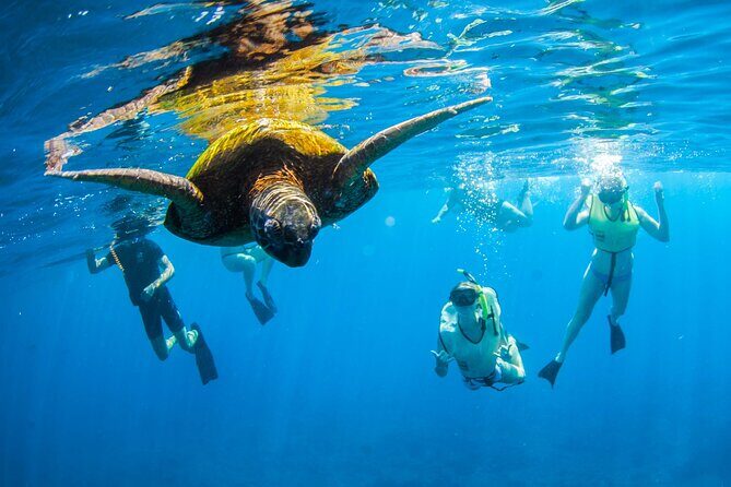 Kauai's Ultimate South Island Zodiac Boat Snorkel Adventure - The Guides and Safety