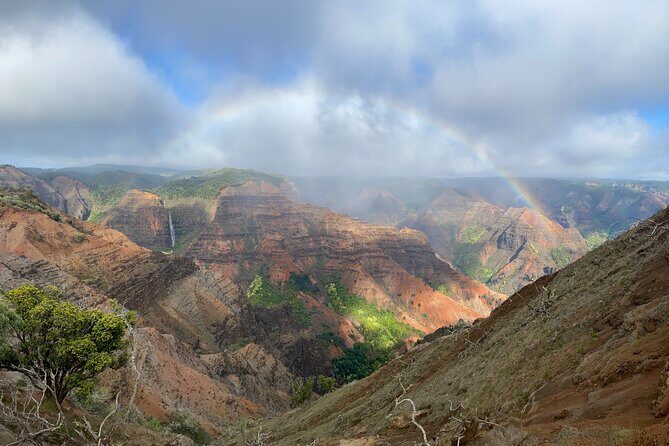 Kauai's Waimea Canyon and South Side Private Guided Tour - Key Points