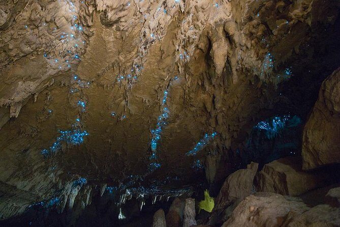Kawiti Glow Worm Cave Tour & Opua Forest Walk - Whats Included and Whats Not